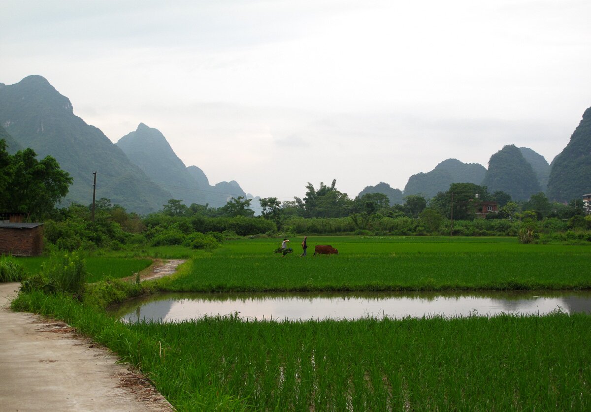 Li River karst towers near Guilin and Yangshuo — limestone playground above green water