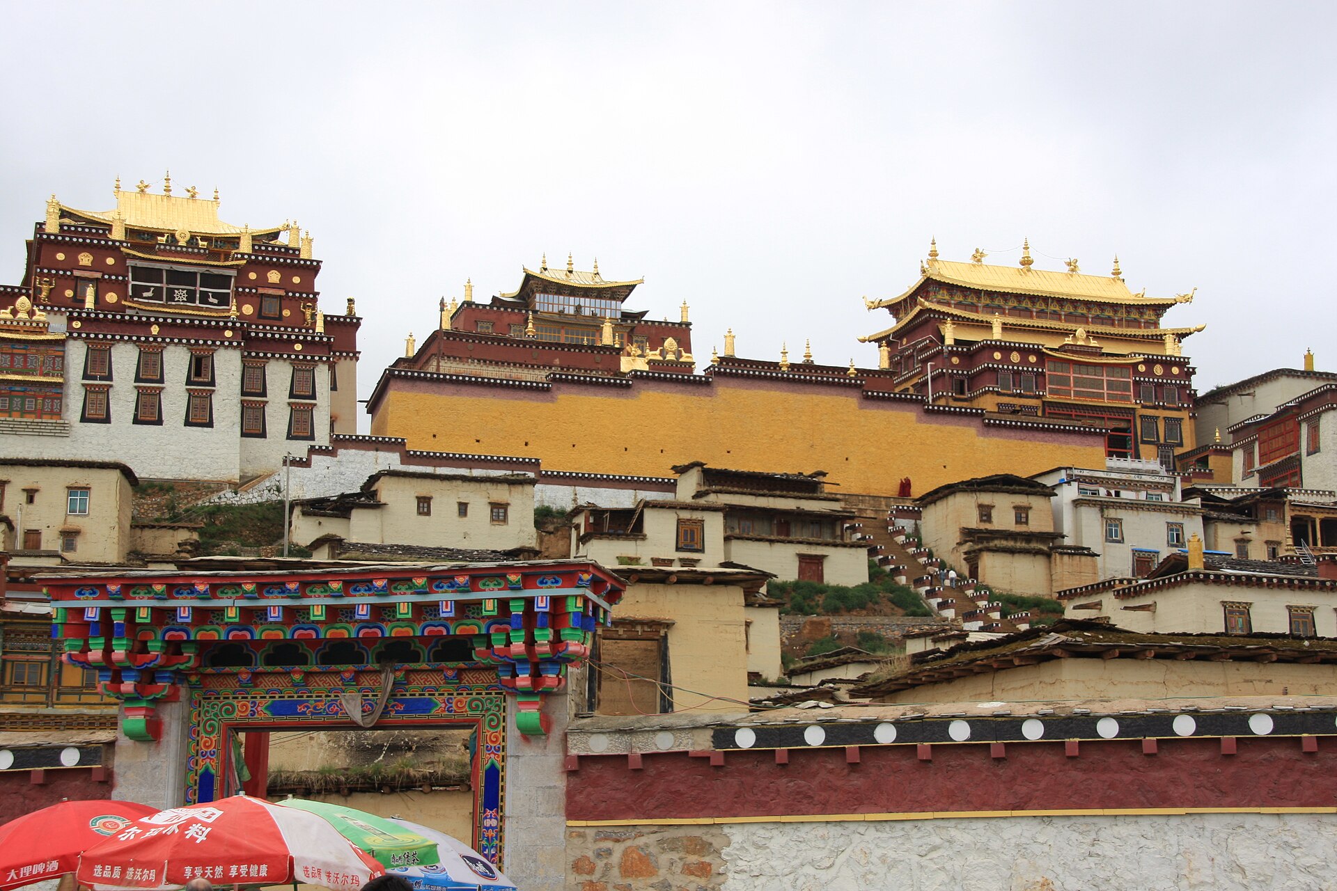 Deep Dive Tibet: The Devotion and Majesty of Nyingchi and Namcha Barwa with Eddie