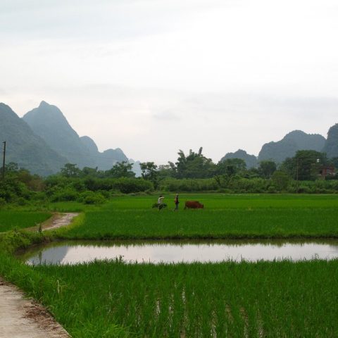 China's Mountains 101 · Guilin (5 Days)
