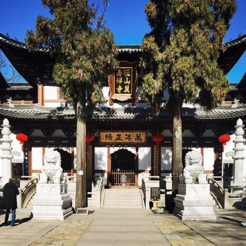 China's Mountains 101 · Mount Qingcheng (5 Days)